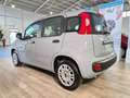 Fiat Panda 1.0 Hybrid 70 Cv Grau - thumbnail 4