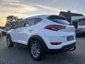 Hyundai TUCSON Tucson blue 1.6 GDi 2WD Advantage Weiß - thumbnail 6