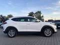 Hyundai TUCSON Tucson blue 1.6 GDi 2WD Advantage Weiß - thumbnail 9