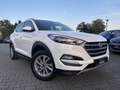 Hyundai TUCSON Tucson blue 1.6 GDi 2WD Advantage Weiß - thumbnail 1