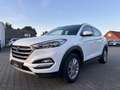 Hyundai TUCSON Tucson blue 1.6 GDi 2WD Advantage Weiß - thumbnail 4