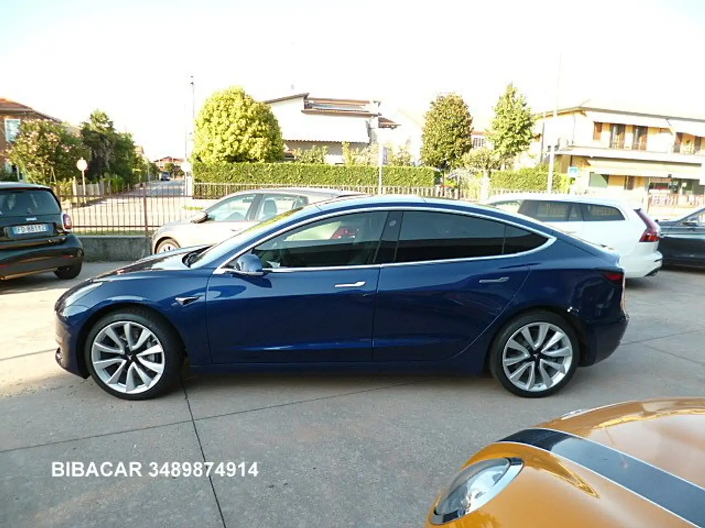 Tesla Model 3 Model 3 (Standard Range Plus) rwd IVA DEDUCIBILE Blu/Azzurro - 2