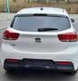 Kia Rio Rio 1,25 MPI Titan ISG Titan Weiß - thumbnail 4