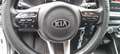 Kia Rio Rio 1,25 MPI Titan ISG Titan Weiß - thumbnail 12