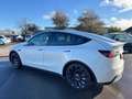 Tesla Model Y Performance Dual AWD Wärmepumpe 21Zoll Белый - thumbnail 7