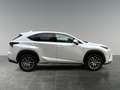 Lexus NX 300h Nx300h Weiß - thumbnail 6