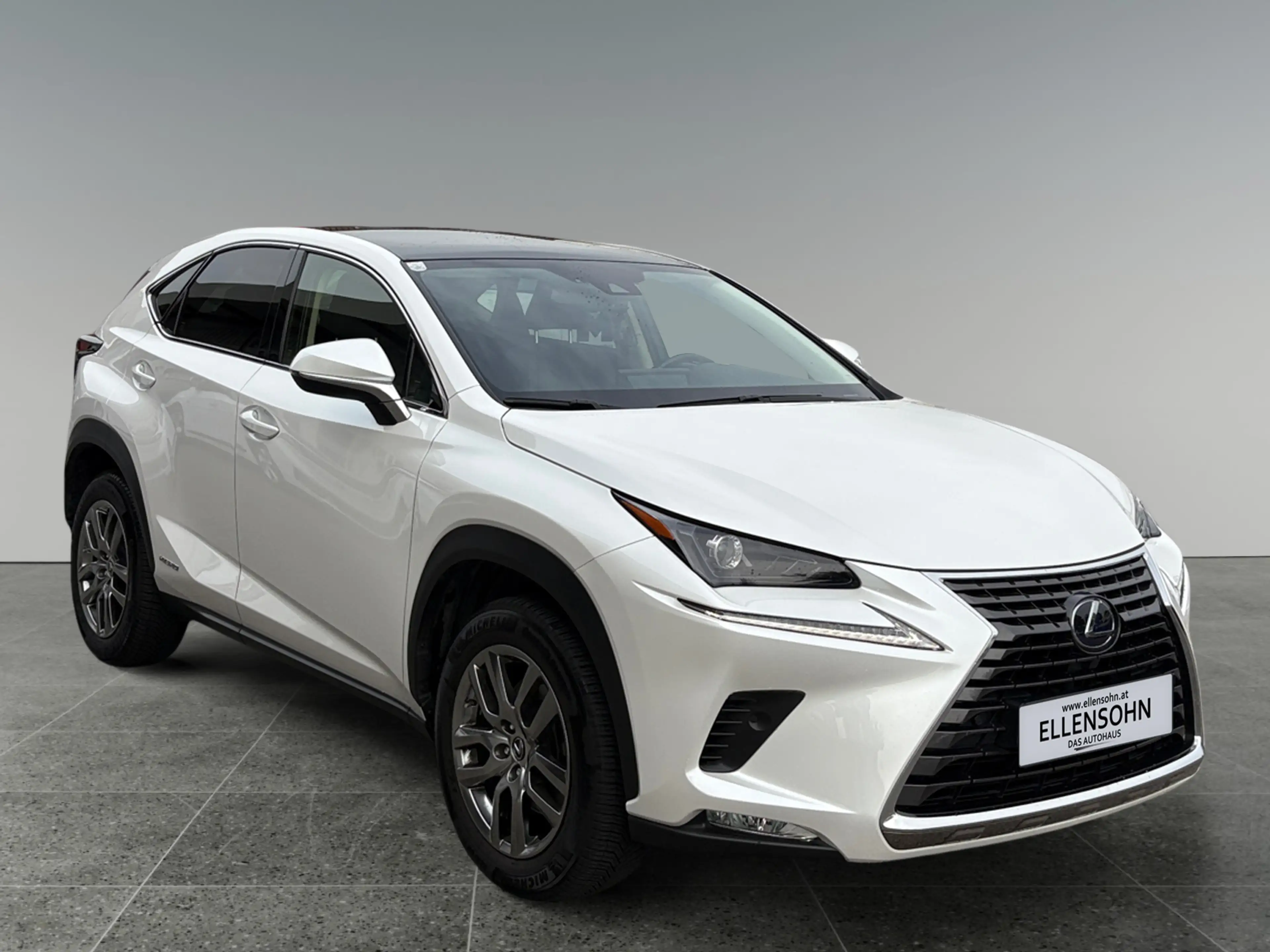 Lexus NX 300h Nx300h — photo 7