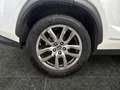 Lexus NX 300h Nx300h Weiß - thumbnail 15