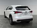 Lexus NX 300h Nx300h Weiß - thumbnail 3