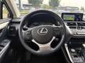 Lexus NX 300h Nx300h Weiß - thumbnail 11