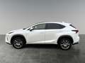 Lexus NX 300h Nx300h Weiß - thumbnail 2