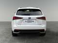 Lexus NX 300h Nx300h Weiß - thumbnail 4