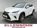 Lexus NX 300h Nx300h Weiß - thumbnail 1