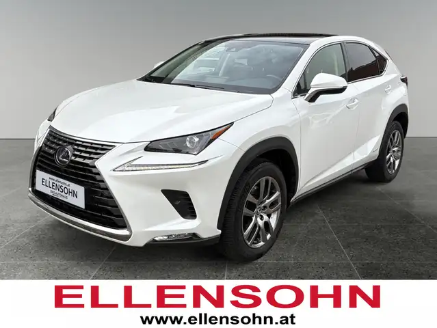 Lexus NX 300h Nx300h
