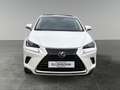 Lexus NX 300h Nx300h Weiß - thumbnail 8