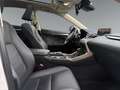 Lexus NX 300h Nx300h Weiß - thumbnail 12