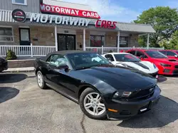 2010 Ford Mustang