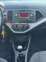 Kia Picanto Picanto 1.0 12V EcoGPL 5 porte Glam Nero - thumbnail 13