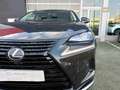 Lexus NX 300h PREMIUM 2WD Negro - thumbnail 21