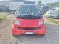 smart forTwo 600 smart & pure (40 kW) Rosso - thumbnail 1