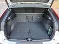 Volvo C40 Recharge Single Eléctrico Plus Blanco - thumbnail 9