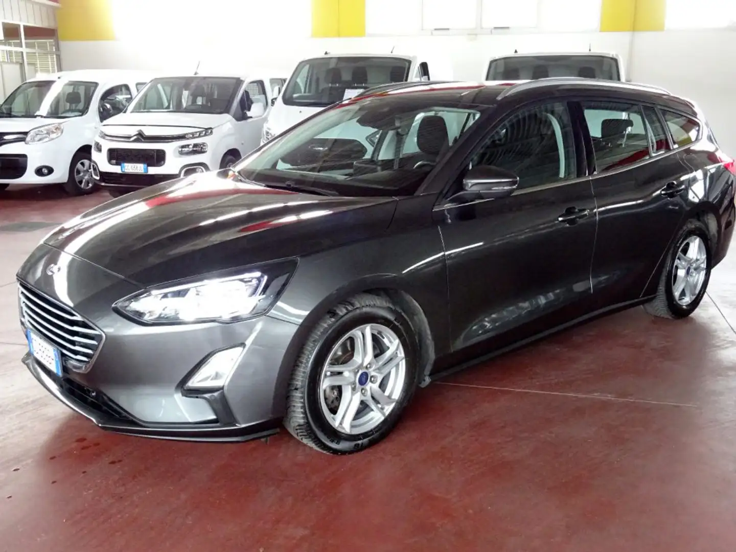 Ford Focus 1.5 EcoBlue 120 CV automatico SW Business Co-Pilot Gris - 1