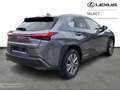 Lexus UX 300e Executive Line & EV drive & TO Szary - thumbnail 15