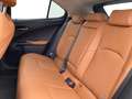 Lexus UX 300e Executive Line & EV drive & TO Szary - thumbnail 10