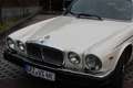 Jaguar XJ12 Jaguar XJ 12, Oldtimer, Daimler Double Six Beige - thumbnail 3
