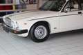 Jaguar XJ12 Jaguar XJ 12, Oldtimer, Daimler Double Six Beige - thumbnail 3