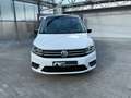 Volkswagen Caddy 1.4 TSI DSG Edition 35 Xenon SH Tempomat Weiß - thumbnail 25