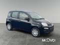 Fiat Panda 2024 Pandina 1.0 firefly hybrid s Nero - thumbnail 6