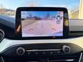 Ford Focus sw 1.5 Business Co-pilot 120cv | PREZZO PROMO Blanc - thumbnail 12