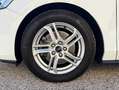 Ford Focus sw 1.5 Business Co-pilot 120cv | PREZZO PROMO Blanc - thumbnail 5