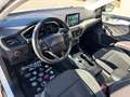 Ford Focus sw 1.5 Business Co-pilot 120cv | PREZZO PROMO Blanc - thumbnail 7
