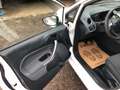 Ford Fiesta Fiesta Ambiente 1,25 Ambiente Weiß - thumbnail 11