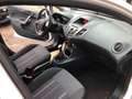 Ford Fiesta Fiesta Ambiente 1,25 Ambiente Weiß - thumbnail 7