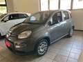 Fiat Panda 1.0 FireFly S&S Hybrid Grigio - thumbnail 2