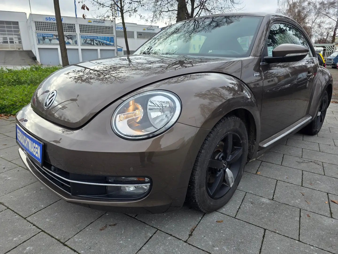 Volkswagen Beetle Design  TÜV 02/2027 Klima Brun - 2