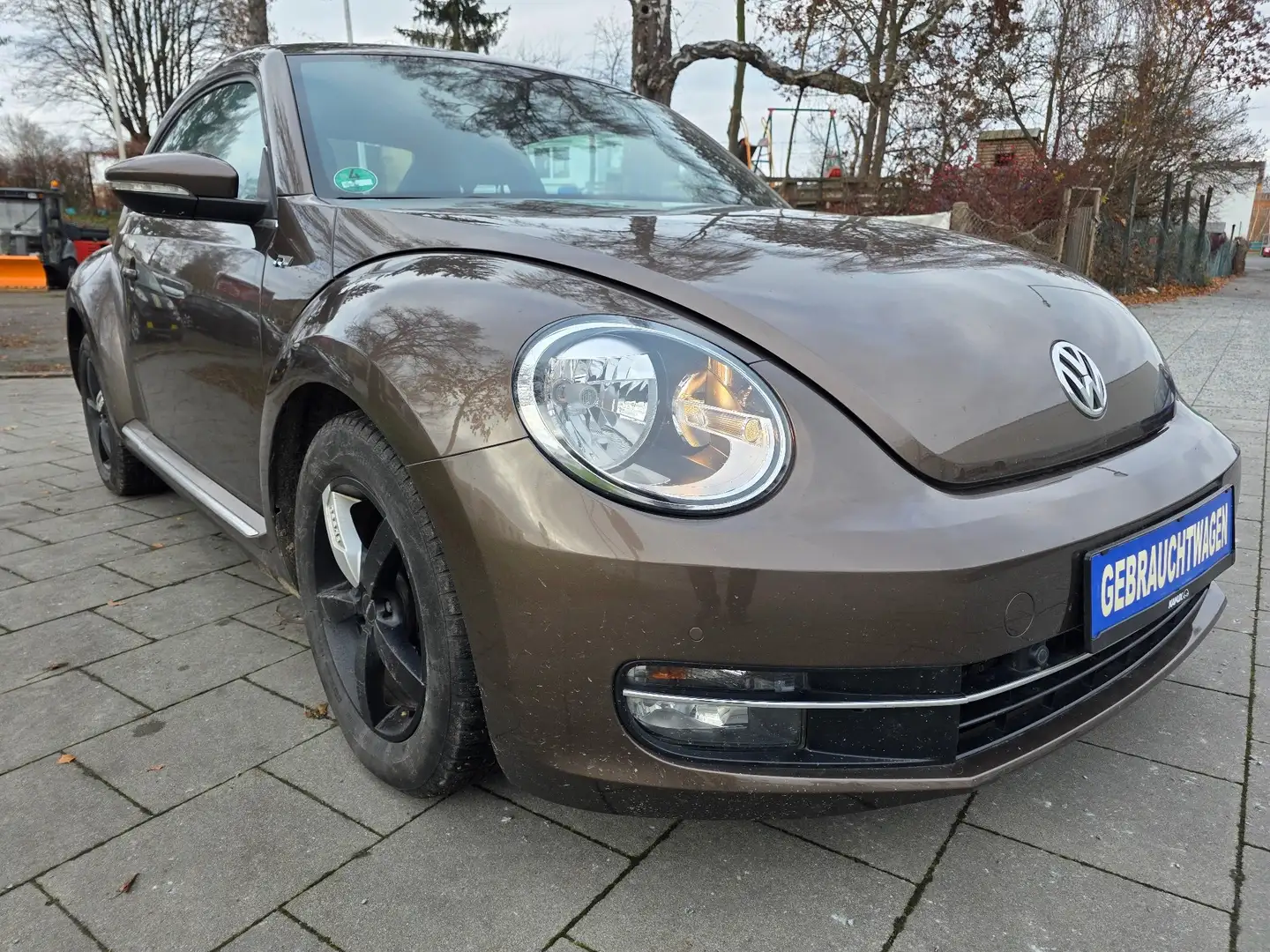 Volkswagen Beetle Design  TÜV 02/2027 Klima Brun - 1