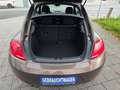 Volkswagen Beetle Design  TÜV 02/2027 Klima Brun - thumbnail 5