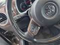 Volkswagen Beetle Design  TÜV 02/2027 Klima Brun - thumbnail 12