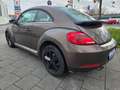 Volkswagen Beetle Design  TÜV 02/2027 Klima Brun - thumbnail 3