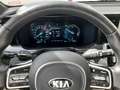Kia Sorento Platinum 1.6T PHEV AWD Automatik Nappa-Leder uvm. Gümüş rengi - thumbnail 14