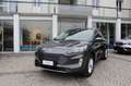 Ford Kuga 2.5 Full Hybrid 190 CV CVT AWD Titanium X Gris - thumbnail 1