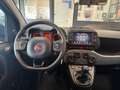 Fiat Panda Cross 1.0 FireFly S&S Hybrid Grigio - thumbnail 9