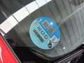 Fiat Panda City Life Hybrid 1.0 Gse 51kw (70CV) Rojo - thumbnail 19