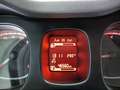 Fiat Panda City Life Hybrid 1.0 Gse 51kw (70CV) Rojo - thumbnail 13