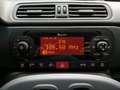 Fiat Panda City Life Hybrid 1.0 Gse 51kw (70CV) Rojo - thumbnail 12