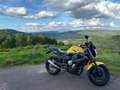 Yamaha XJ 6 Amarillo - thumbnail 7